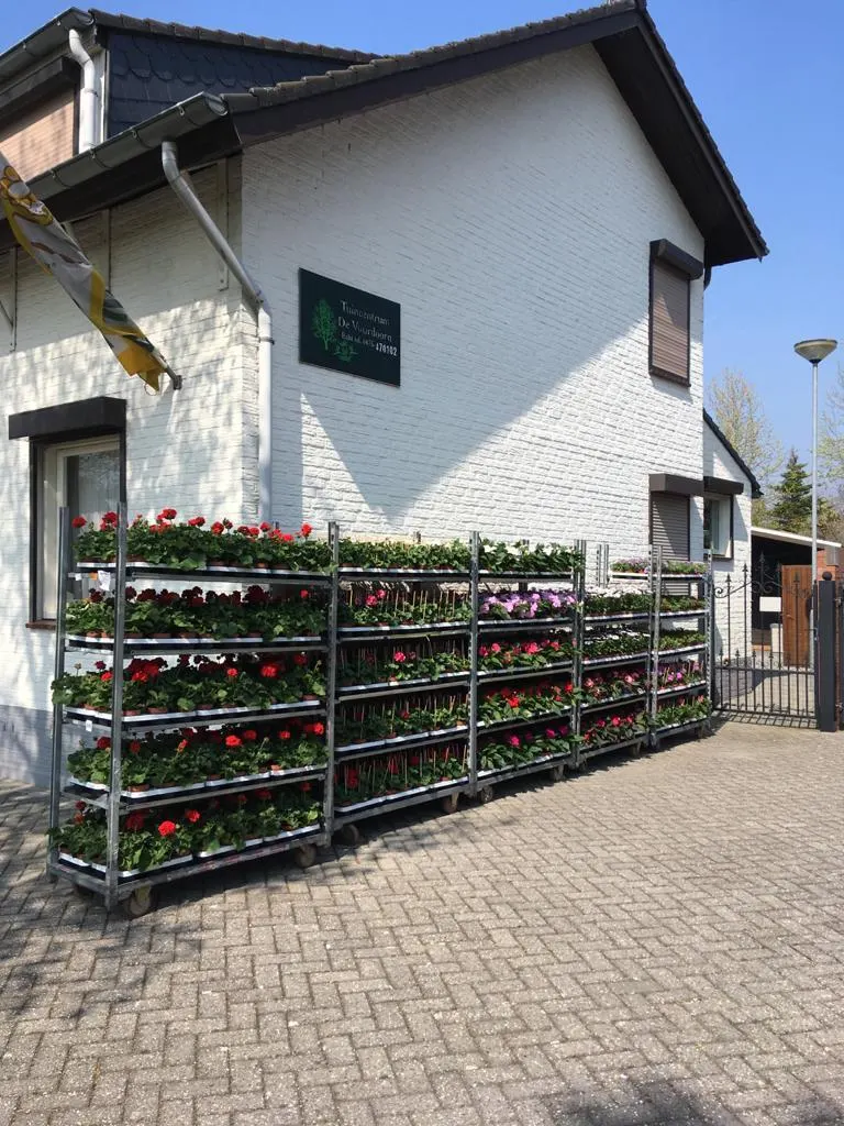 Bloeiende eenjarigen, hangpotten en perkplanten bij Tuincentrum de Vuurdoorn in Echt (foto 2)
